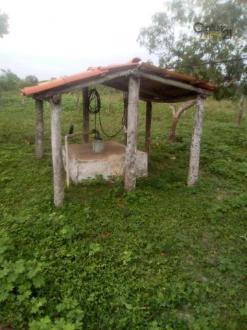754 há em Barras Piauí - Foto 5