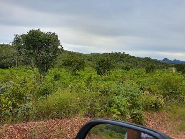 2.200 alqs Solo Argiloso Região De Chuva Palmeirópolis TO - Foto 15