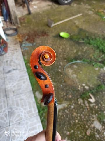 Violino europeu - Foto 4