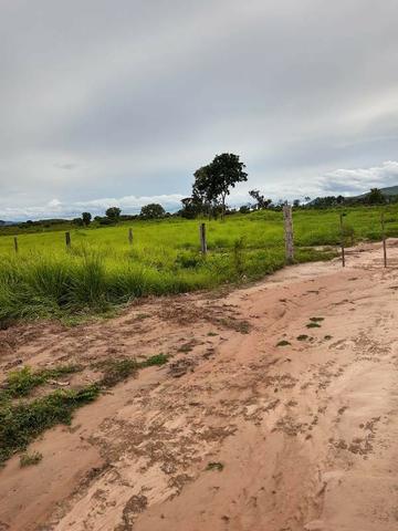 2.200 alqs Solo Argiloso Região De Chuva Palmeirópolis TO - Foto 11