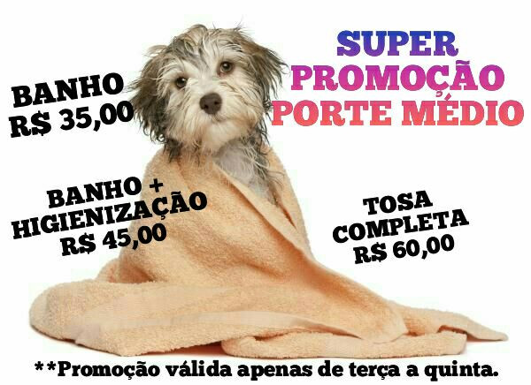 BANHO E TOSA - Foto 2