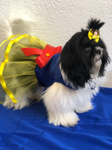 Vestido Branca De Neve Para Pets Cachorros E Acessorios Jardim Leblon Campo Grande 790645879 Olx