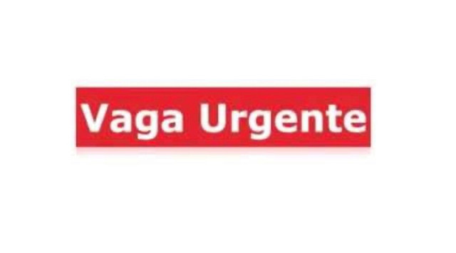 Contratando motorista particular