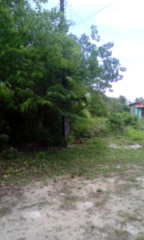 Vendo - Lotes - Arembepe!!! - Foto 4