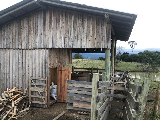 Sitio com 4Hectares e Poço Artesiano - Foto 4