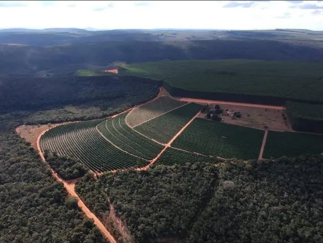 Vale Jequitinhonha - Fazenda 3280hectares - R$250.000.000,00