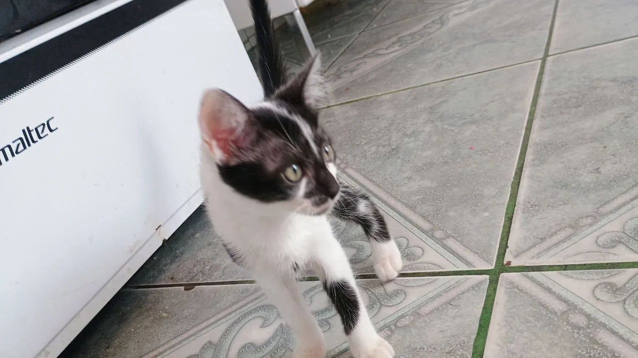 Doação responsabilidade