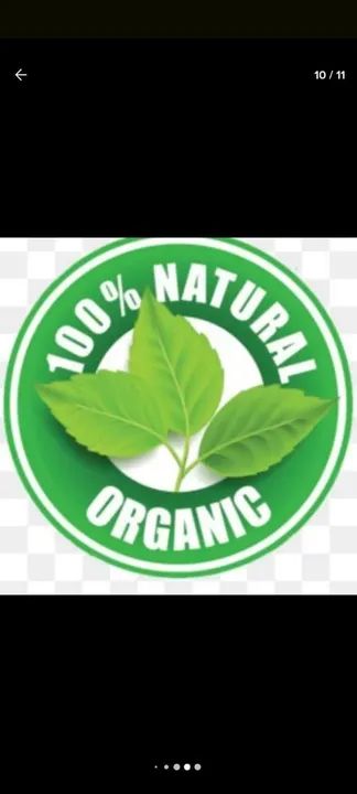 60 Folhas Frescas de ORA PRO NOBIS - Foto 3