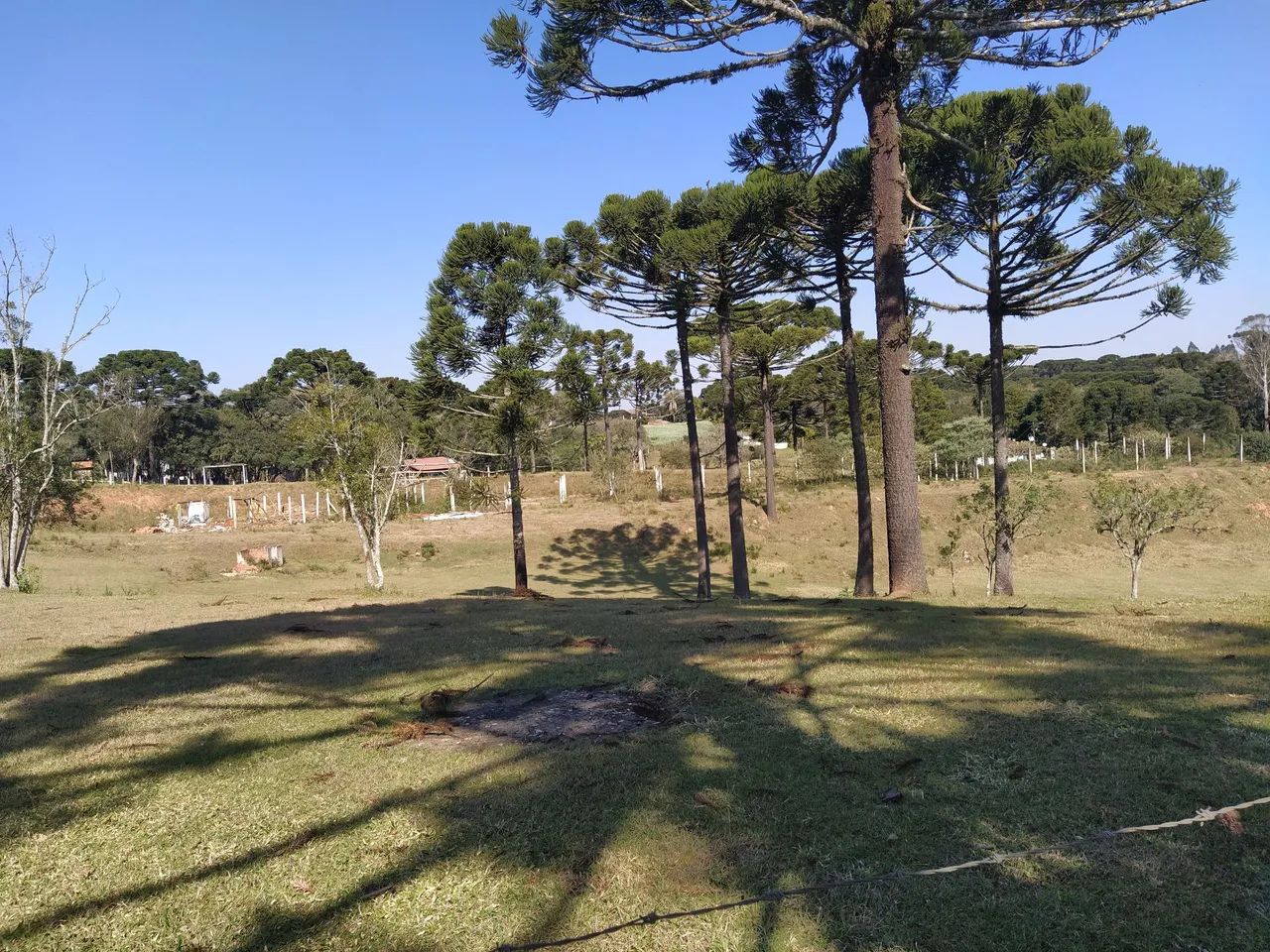 Paraíso do sul  - Foto 8