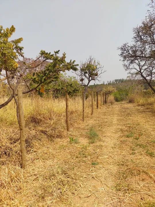 Cercamento Gradil, Alambrado e Cercamento Rural - Foto 2