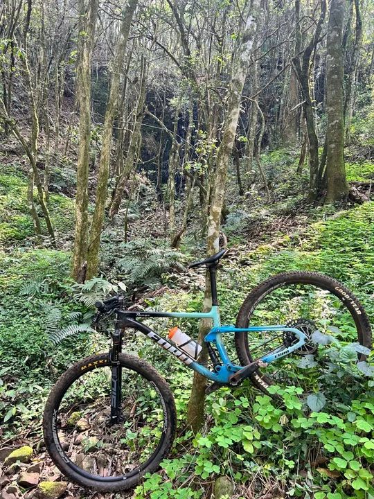 Bicicleta full suspensão carbono Edro range  - Foto 2