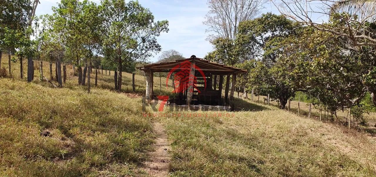 CHÁCARA NO MUNICÍPIO DE BELA VISTA  GO - Foto 3