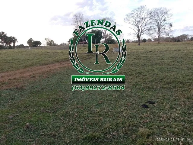Fazenda 53 Alqueires Pecuária.