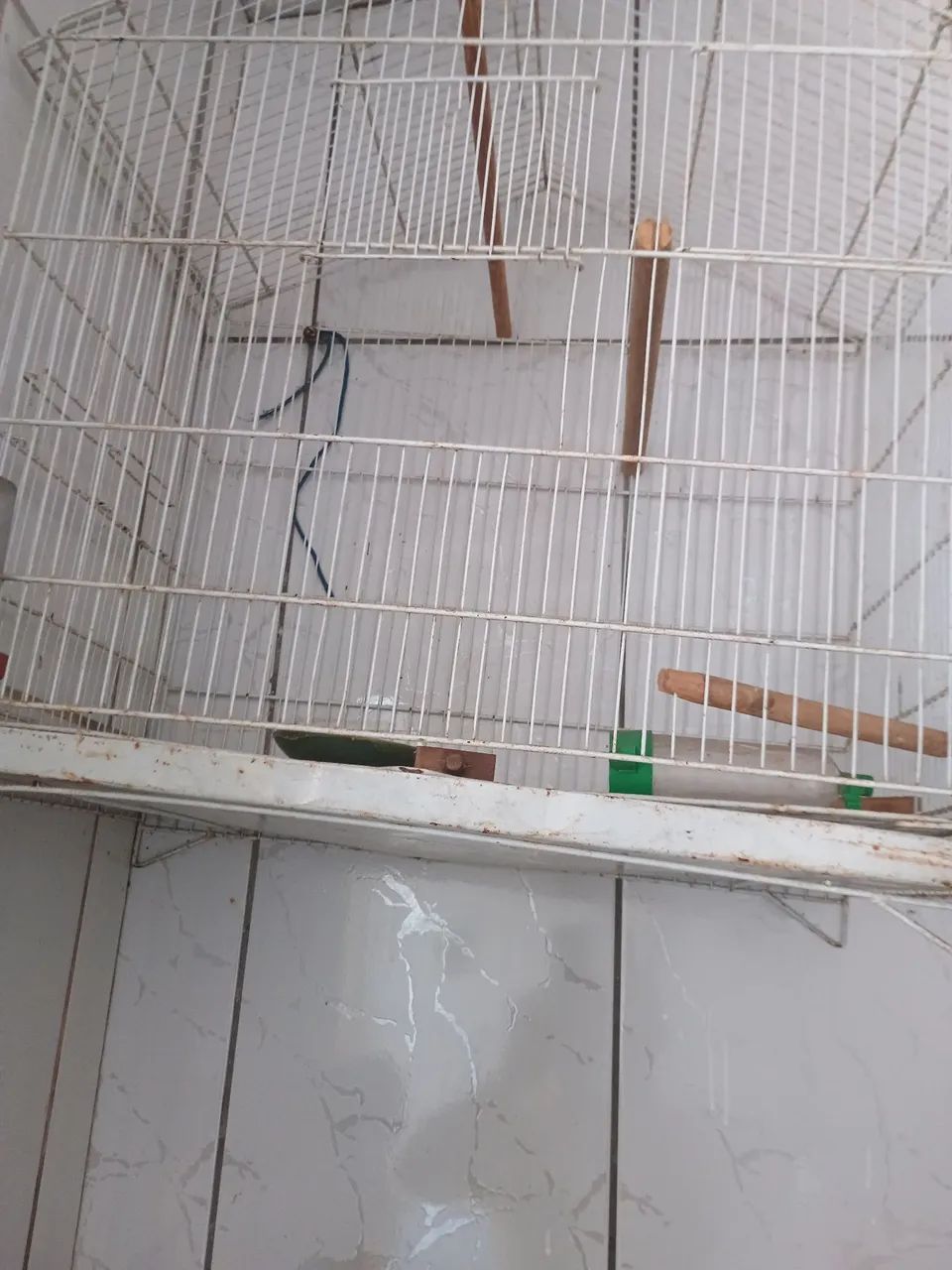 Gaiola para calopsita  - Foto 2