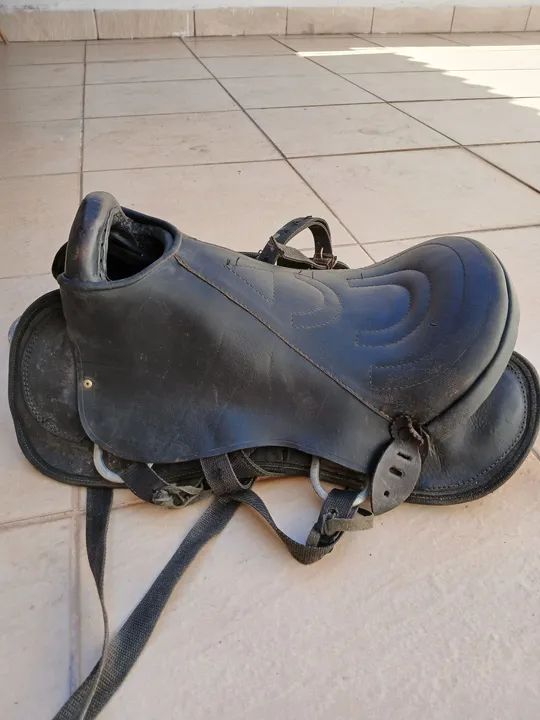 Cela mangalarga zera  - Foto 2