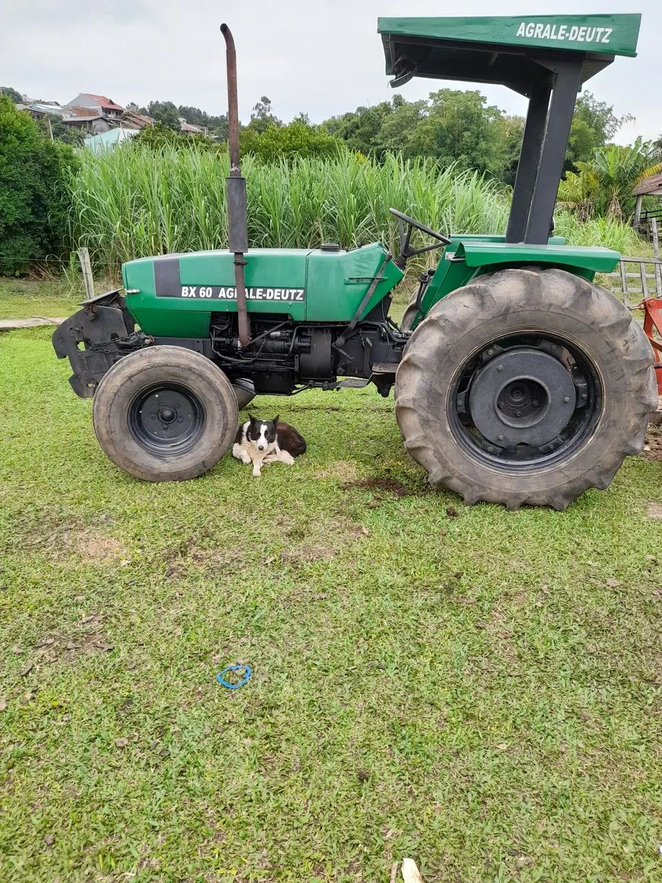 Trator Agrale-Deutz BX60 - Foto 2