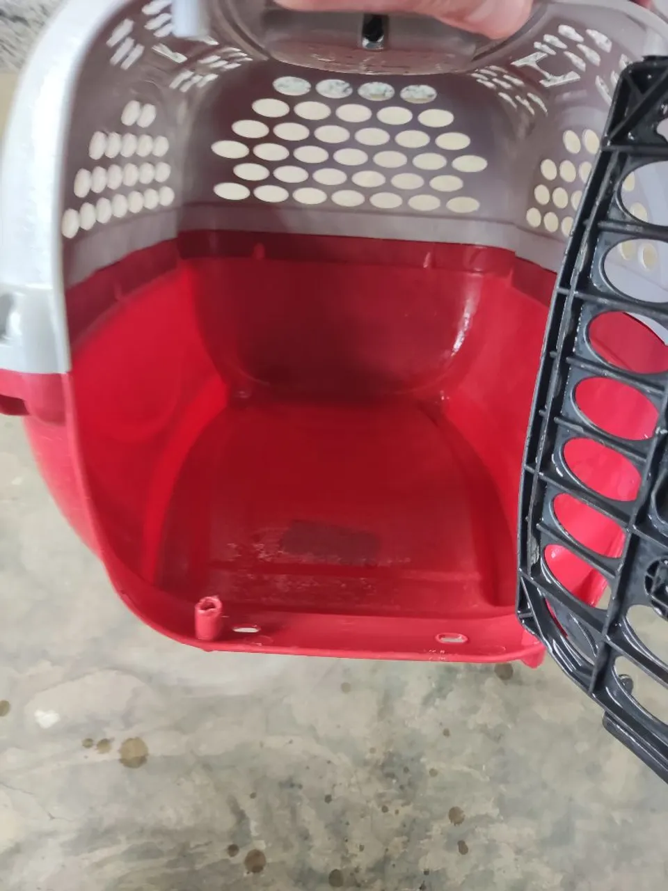 Transporte para pets