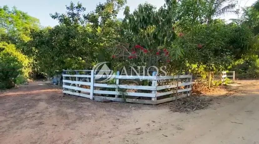 CHÁCARA NO RIO TELES PIRES Á VENDA, ÁREA RURAL, NOVA CANAA DO NORTE - MT - Foto 4