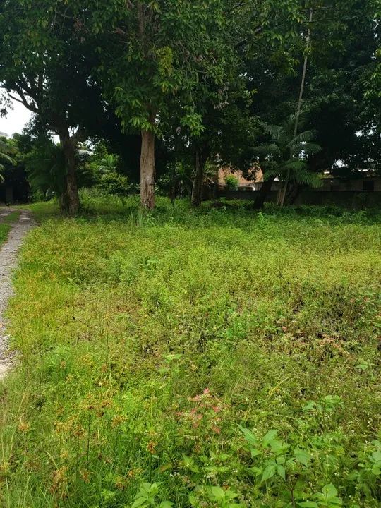 Alugo Terreno com 1.600m² no Aleixo - R$ 10.000,00 - Foto 2