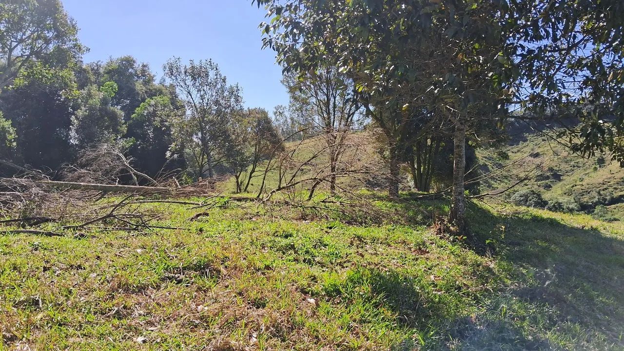 Terrenos a partir de 2 hectares em Anitápolis-SC  - Foto 4