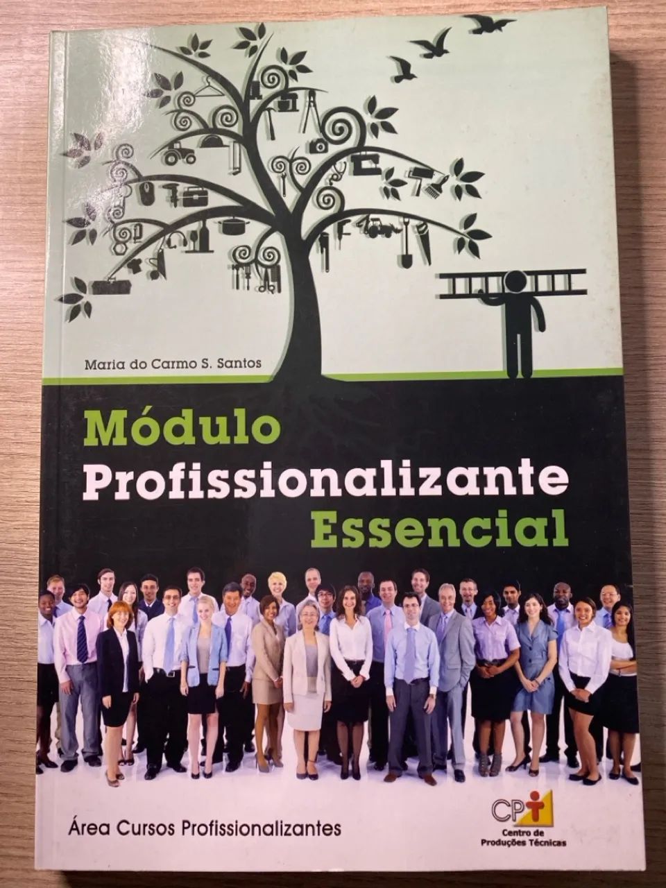Módulo Profissionalizante Essencial - Área Cursos Profissionalizantes