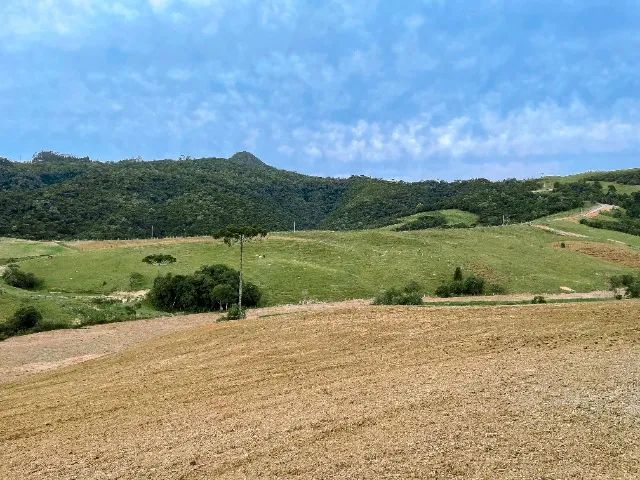 Sítio - 10 Hectares | Bom Retiro/SC - Foto 4