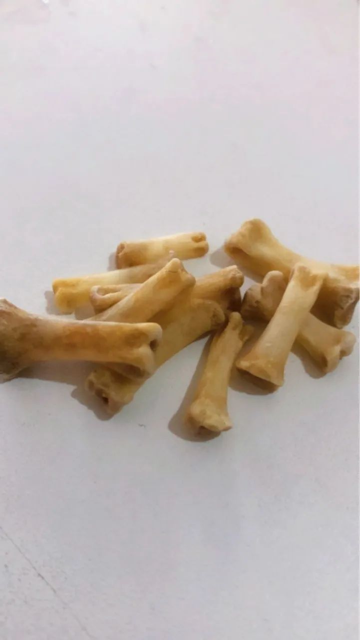 Fio de Ossos de Verdade para Guias e Brajas - Foto 3