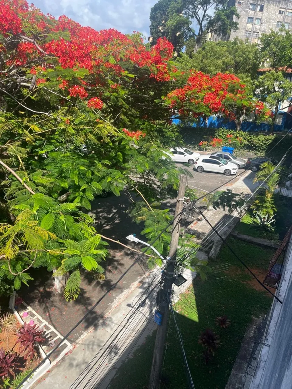 VENDO APARTAMENTO 2/4