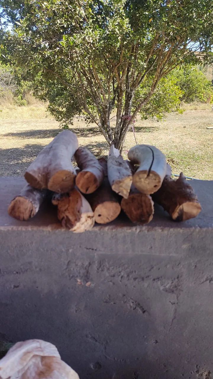 LENHA NOBRE PARA CHURRASCO, DEFUMAÇÃO E PARRILLA - ENTREGA RÁPIDA. - Foto 6