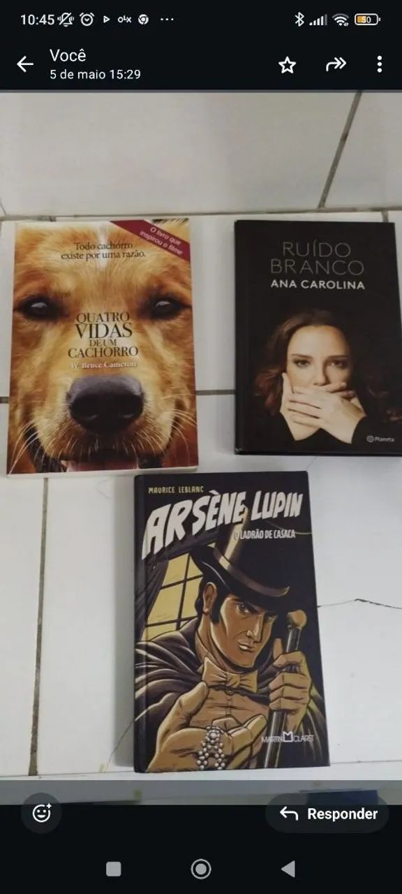 Livros - Quatro Vidas de Um Cachorro, Ruído Branco e Arsène Lupin