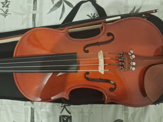 Violino 4/4 Hofma Eagle HVE241 ajustado por luthier (Novo) - Foto 2