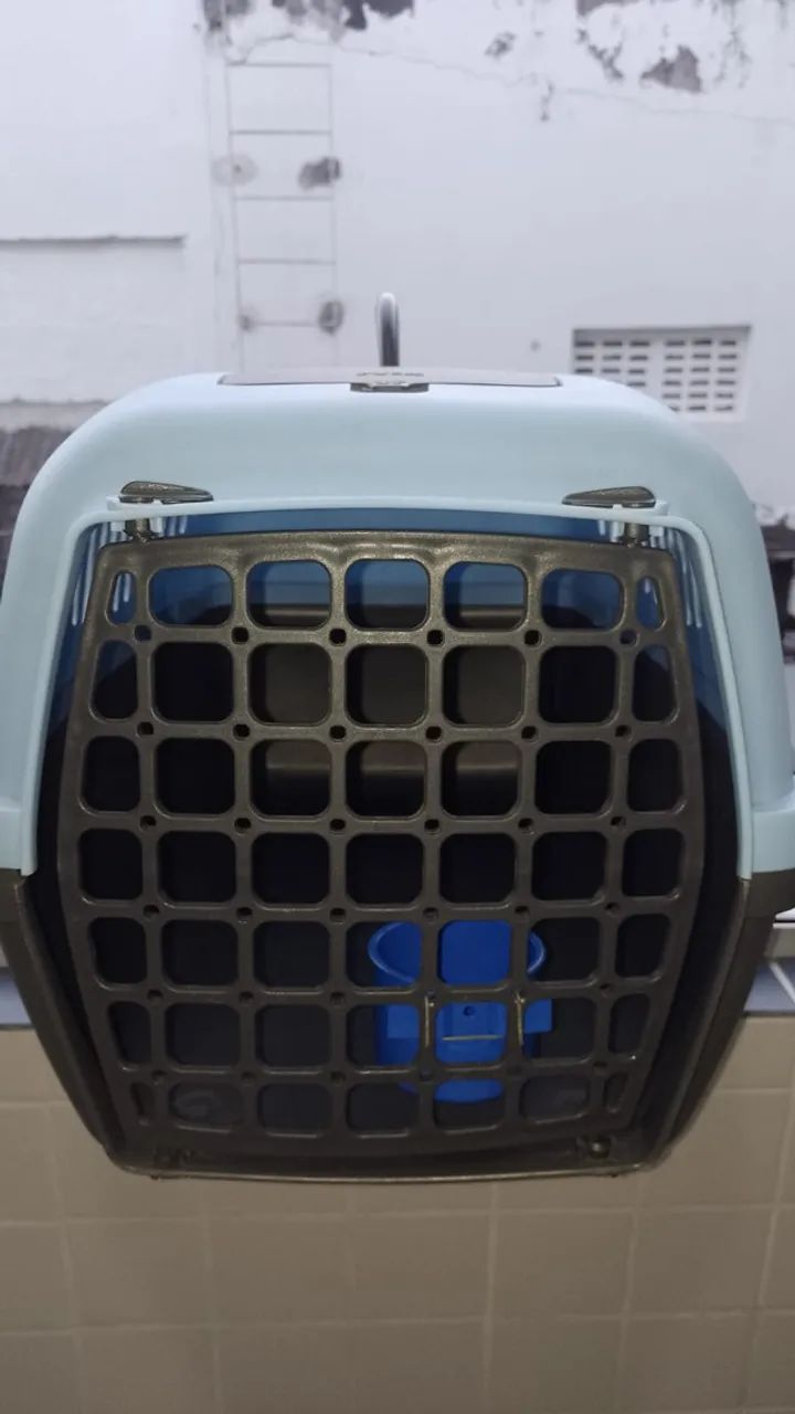 Caixa Transporte PET - Porte Médio.  - Foto 3