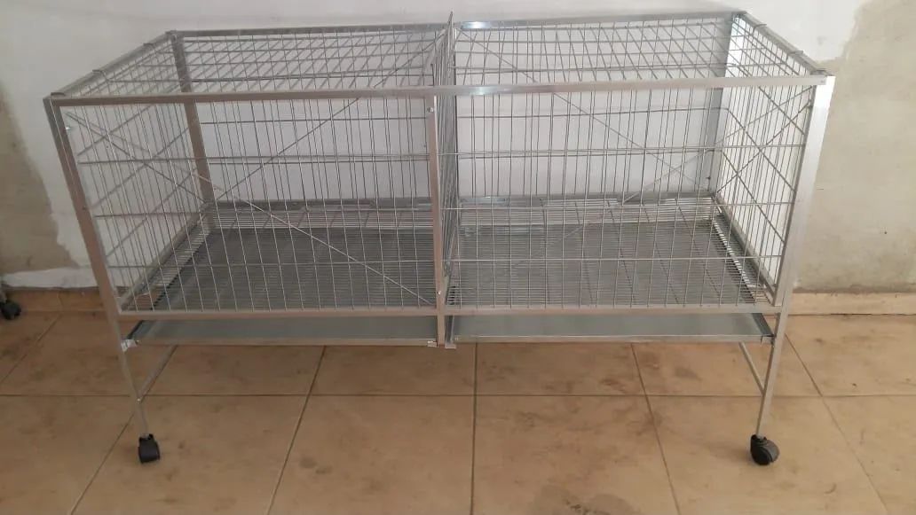 Corredeiras para cães 