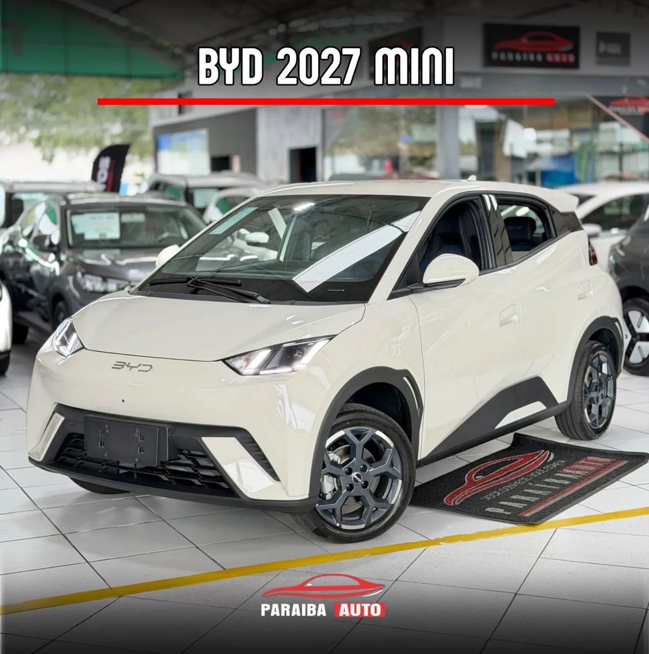 BYD Dolphin Mini (Elétrico) 2027
