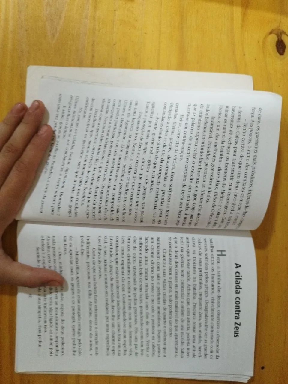 Resumo de Ilíada  - Foto 2