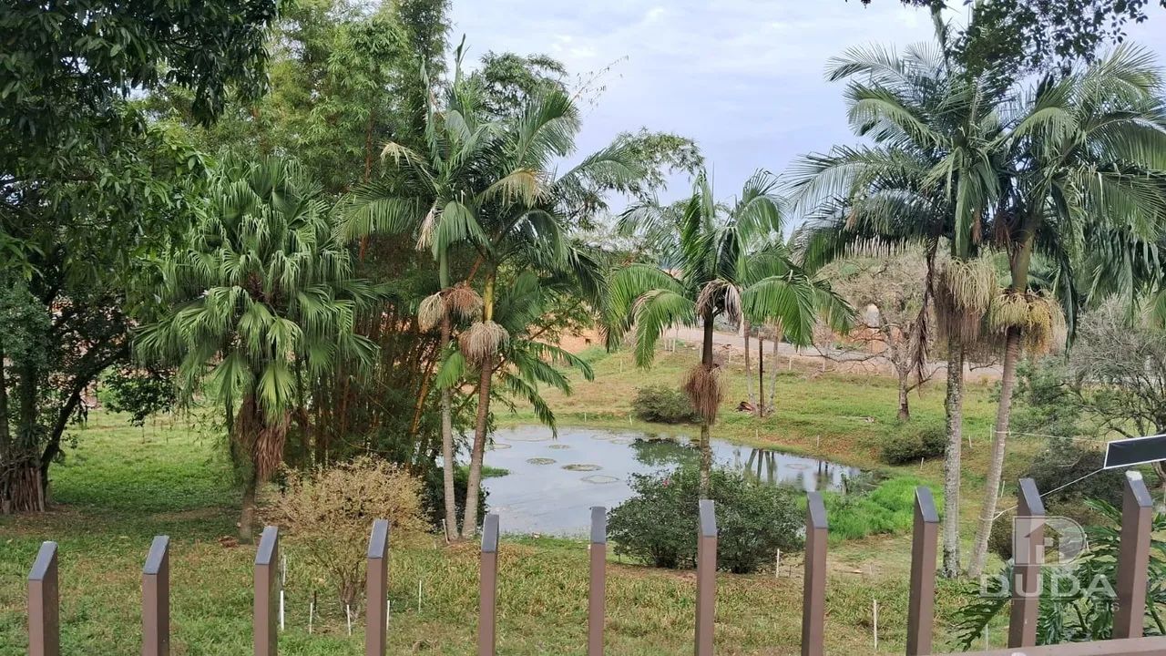 Sítio à Venda em Cocal do Sul - Foto 3