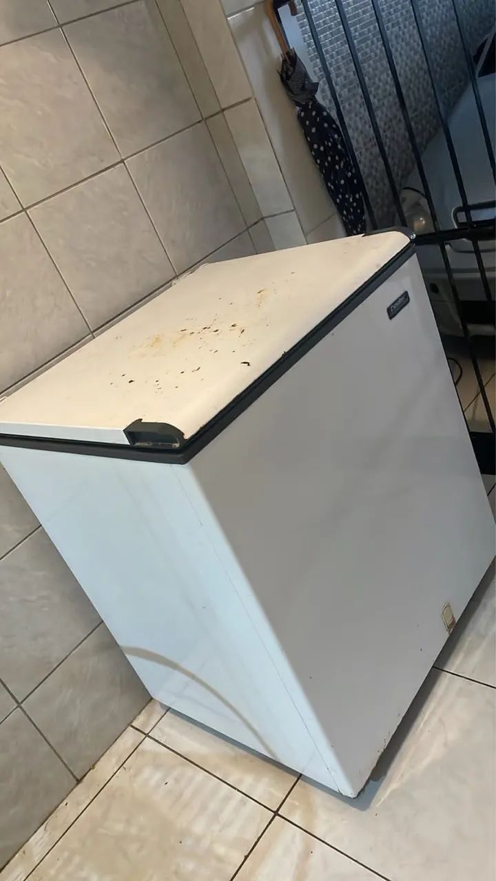 Freezer Esmaltec 230L