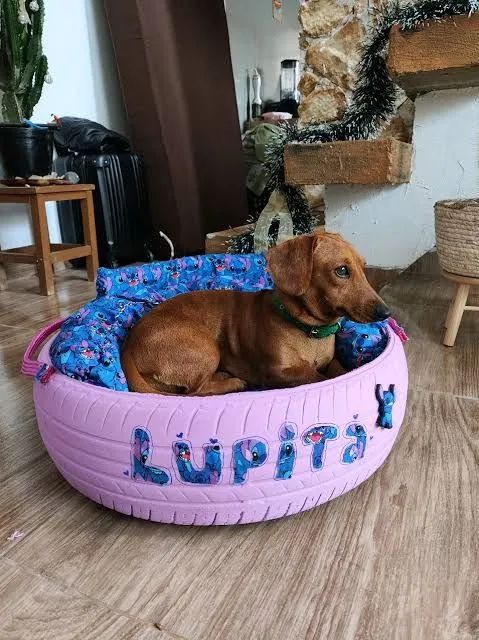 Cama pet - Foto 2
