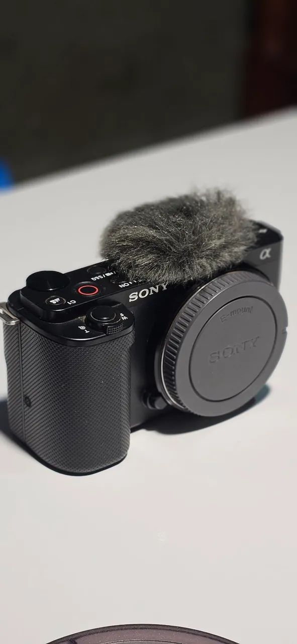 Sony ZVE10 