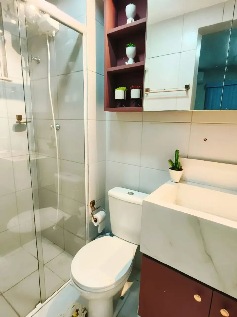APARTAMENTO DE PALMEIRAS PRIME 1 - Foto 4