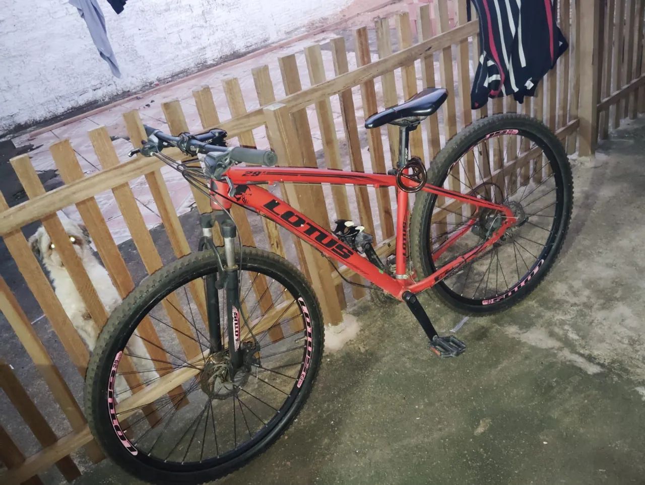 bicicleta lotus contato WhatsApp  * - Foto 2