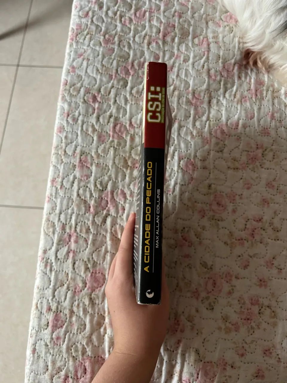 Livro CSI - Foto 3