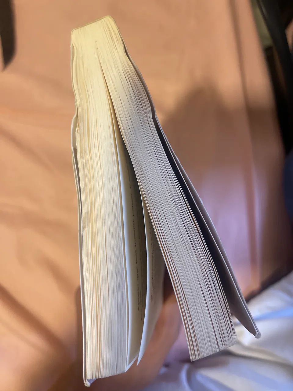 Livro / A paciente silenciosa - Foto 4