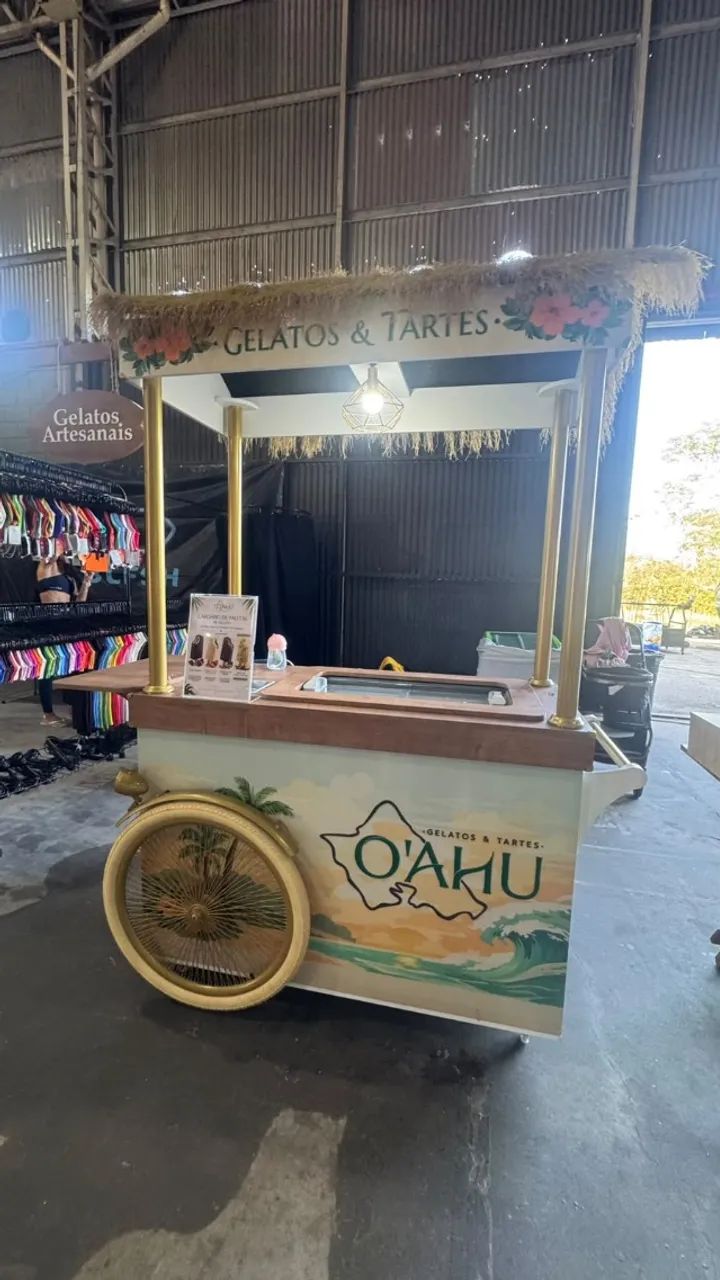 Carrinho Gourmet Profissional com Freezer - Sorvete, Gelato e Eventos - Foto 3