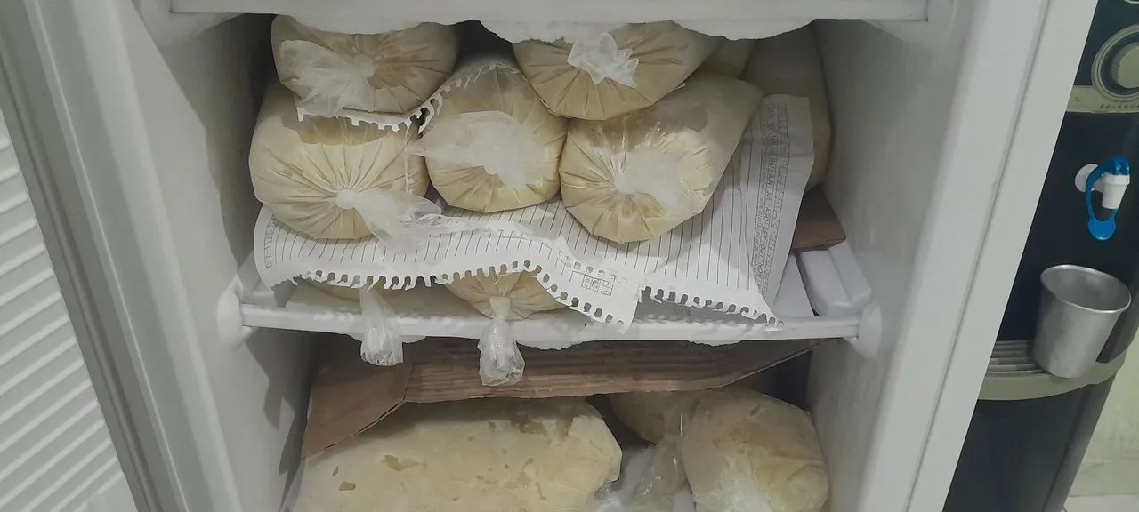 Vendo Polpa de Cupuaçu 