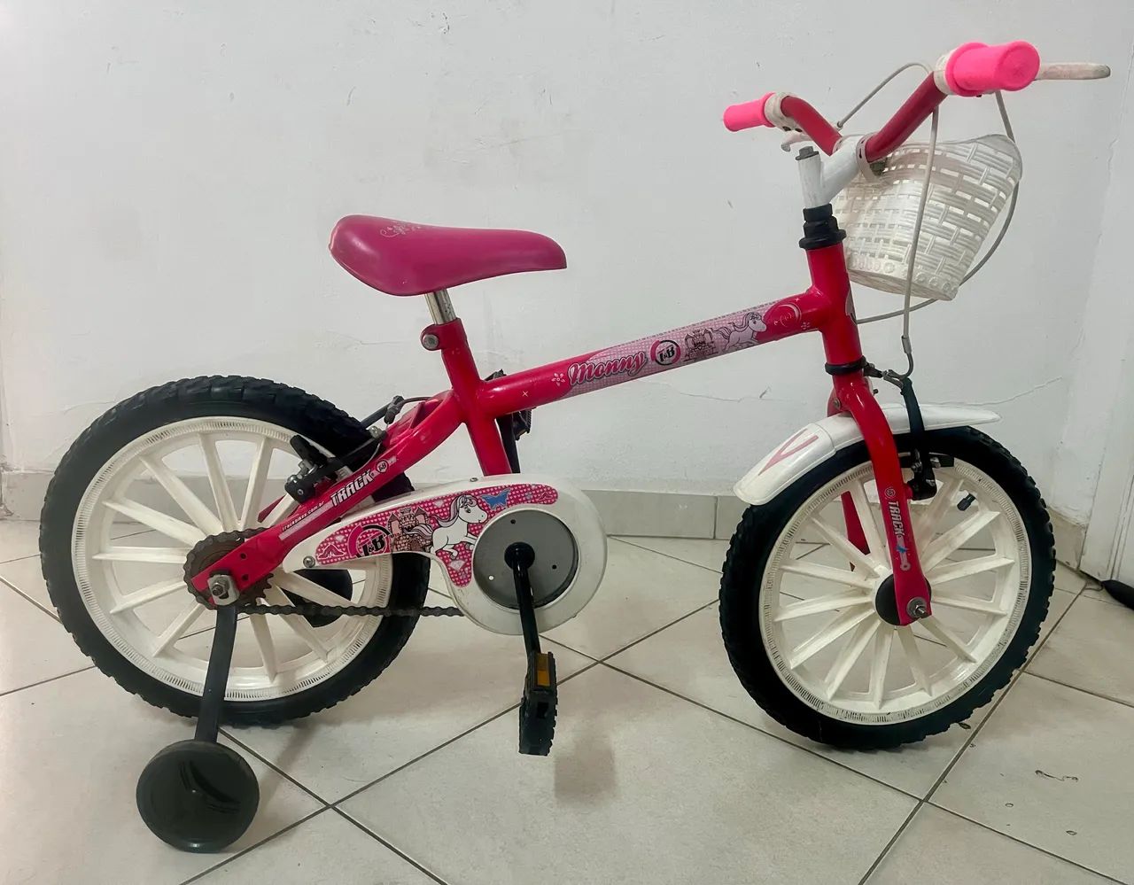 Unicórnio- Aro 16