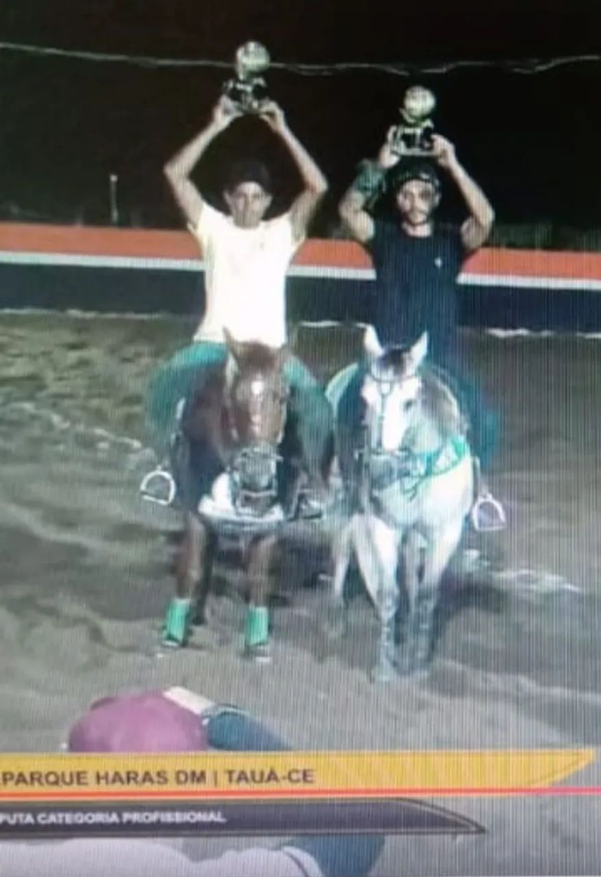 Cavalo quarto de milha campeão de esteira puro - Foto 2