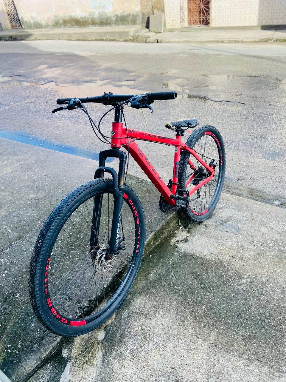 Bicicleta 