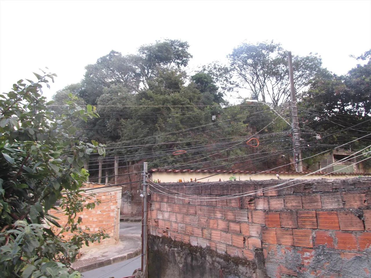 Lote ideal para construtoras, em rua tranquila e próximo a todo o comércio - Foto 5