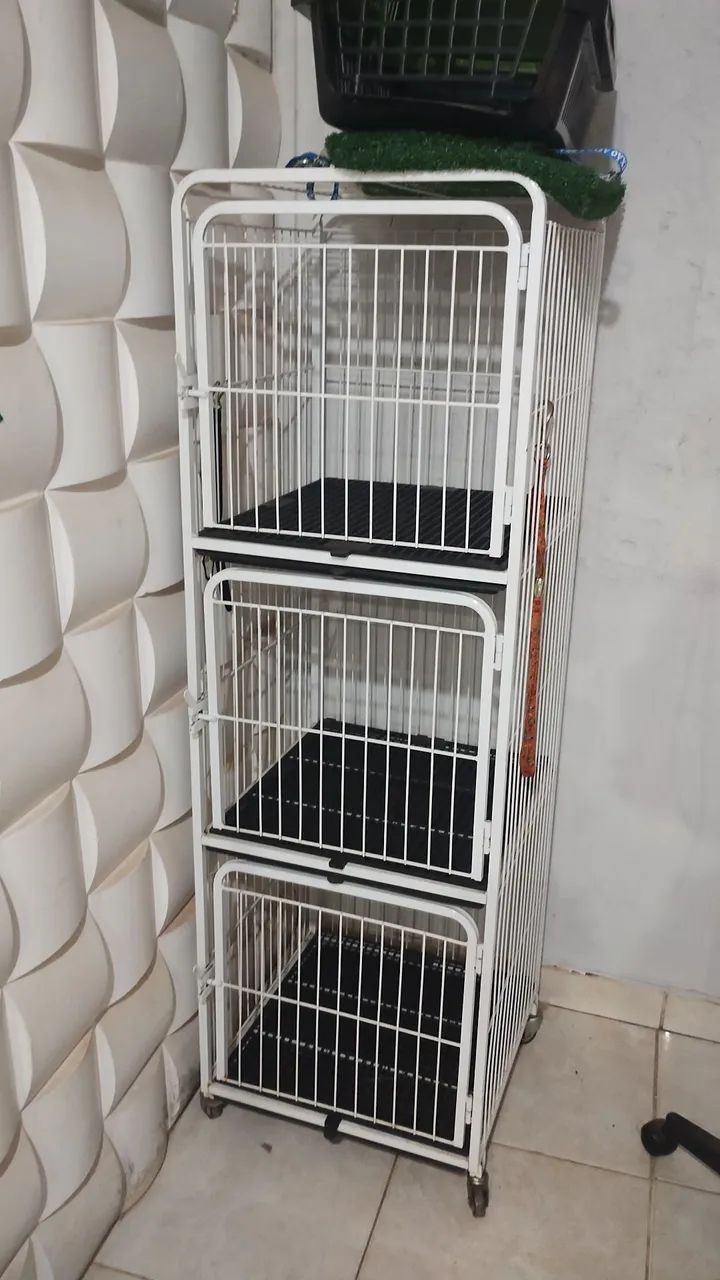 Banho e tosa equipamentos - Foto 4